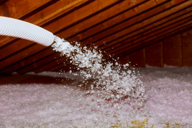 Professional Insulation Contractor in Wewahitchka, FL