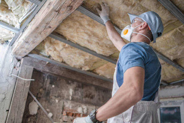 Best Blown-in Insulation in Wewahitchka, FL